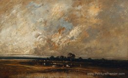 Paysage Paysage