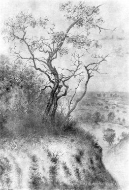 Sur la falaise Sur la falaise