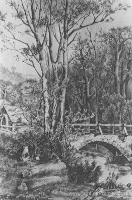 Moulin près du ruisseau forestier Moulin près du ruisseau forestier