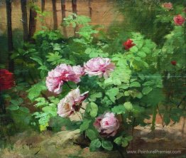 Des roses Des roses