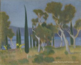 Paysage Paysage