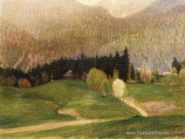 Paysage avec des sapins Paysage avec des sapins