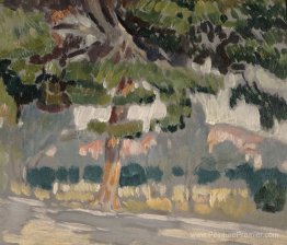 Paysage Paysage