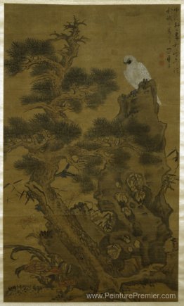 Pin, faucon blanc et rocher Pin, faucon blanc et rocher