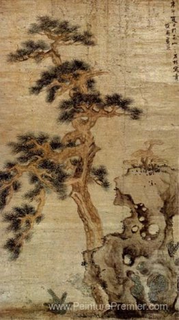 Rocks et Reishi Rocks et Reishi