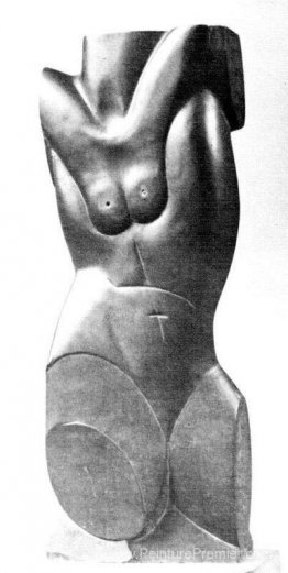 Torse Torse