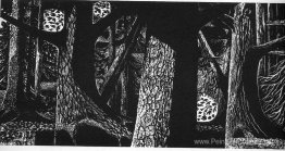 Promenade du soir Promenade du soir