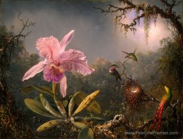 Cattleya Orchid et trois colibris Cattleya Orchid et trois colibris