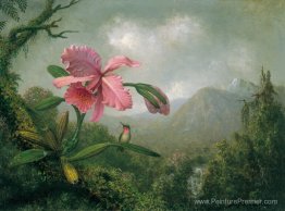 Orchidée et colibri près d'une cascade de montagne Orchidée et colibri près d'une cascade de montagne