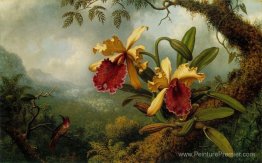 Orchidées et colibris Orchidées et colibris