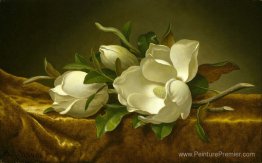 Magnolias sur tissu en velours doré Magnolias sur tissu en velours doré
