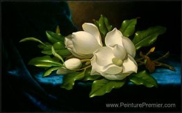 Magnolias géants sur un tissu en velours bleu Magnolias géants sur un tissu en velours bleu