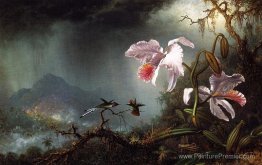 Deux colibris de combat avec deux orchidées Deux colibris de combat avec deux orchidées
