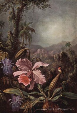 Orchidée et colibri Orchidée et colibri