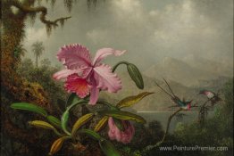 Orchidées et colibris Orchidées et colibris