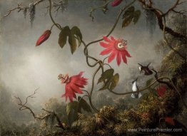 Fleurs de passion avec des colibris Fleurs de passion avec des colibris