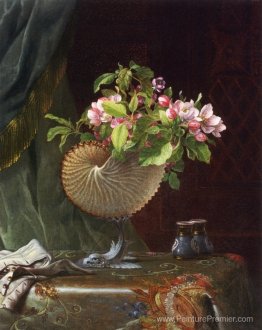 Nature morte avec des fleurs de pomme dans une coquille de nauti Nature morte avec des fleurs de pomme dans une coquille de nauti