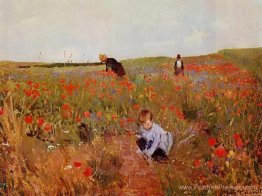 Coquelicots rouges Coquelicots rouges