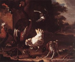 Oiseaux et un épagneul dans un jardin Oiseaux et un épagneul dans un jardin