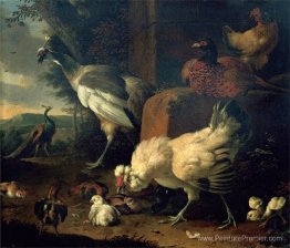 Volaille domestique avec un faisan et des paons Volaille domestique avec un faisan et des paons