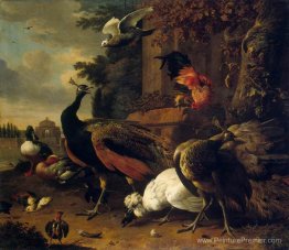 Oiseaux dans un parc Oiseaux dans un parc