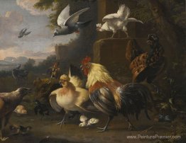 Un aigle, un cockerell, des poules, un pigeon en vol et d'autres Un aigle, un cockerell, des poules, un pigeon en vol et d'autres