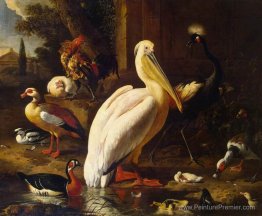 Oiseaux dans un parc Oiseaux dans un parc