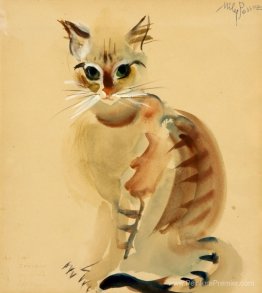 Chat Chat