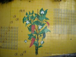 Azulejo Azulejo