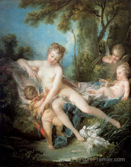 Vénus Confort Amor Vénus Confort Amor