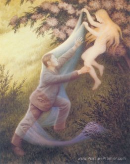 Rêve de fée Rêve de fée
