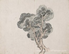 Sans titre (un arbre sans feuilles) Sans titre (un arbre sans feuilles)