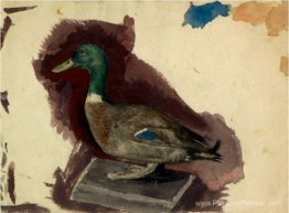 Canard en peluche Canard en peluche