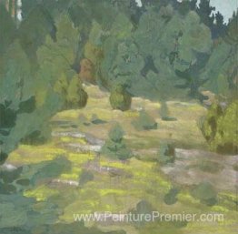 Forêt Forêt