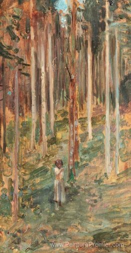 Bois de bouleau Bois de bouleau