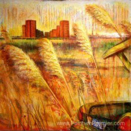 Les prairies Les prairies