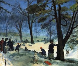 Central Park en hiver Central Park en hiver