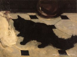 Chat de vert Chat de vert