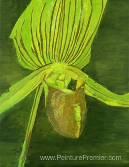 Orchidée Orchidée