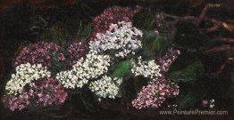 Branches lilas Branches lilas
