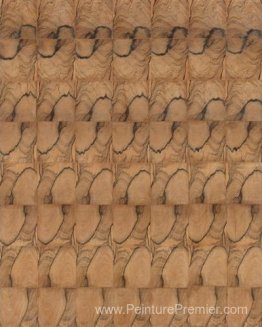 Progressione 21-A Progressione 21-A