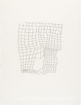 Reticulárea Reticulárea