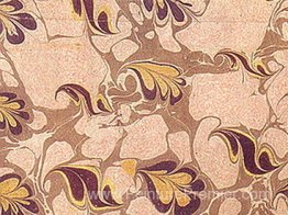 Süleymaniye Kütüphanesi Süleymaniye Kütüphanesi