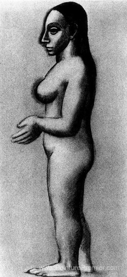Femme nue dans le profil Femme nue dans le profil