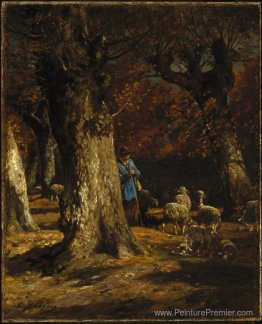 La vieille forêt La vieille forêt