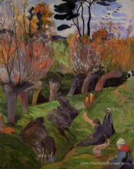 Les saules Les saules