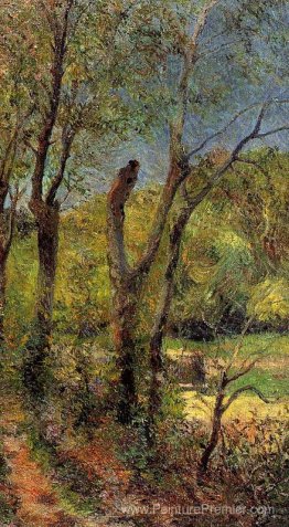 Saules Saules