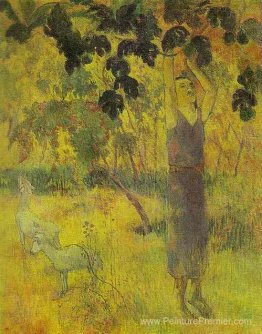 Homme cueillant des fruits dans un arbre Homme cueillant des fruits dans un arbre