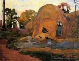 Mots de foin jaunes (Golden Harvest) Mots de foin jaunes (Golden Harvest)