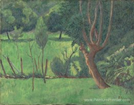 Paysage Paysage
